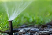 Rainforest Sprinklers + Lighting