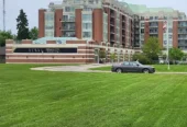 SPM Landscape & Excavation – Pool Removal & Grading