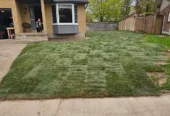 SPM Landscape & Excavation – Pool Removal & Grading
