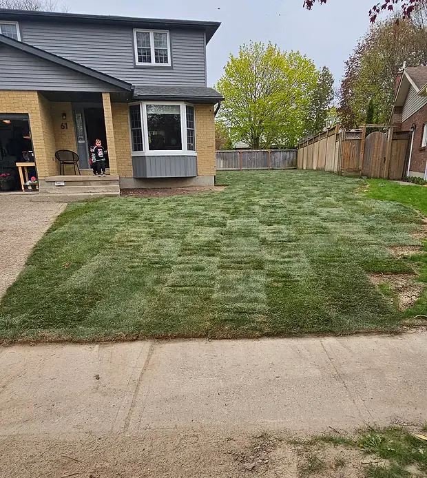SPM Landscape & Excavation – Pool Removal & Grading