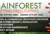 Sprinklers + Lighting in Sarnia