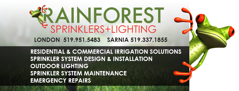 Rainforest Sprinklers + Lighting