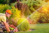 Sprinklers + Lighting in Sarnia